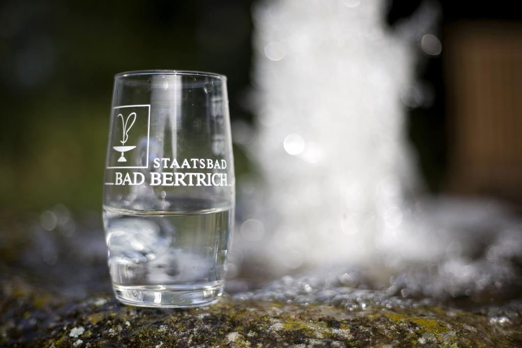 Landhaus Bad Bertrich Zewnętrze zdjęcie