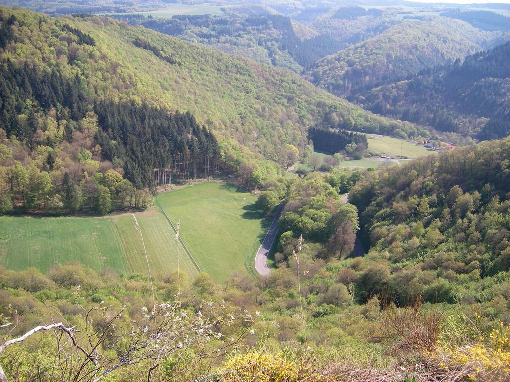 Landhaus Bad Bertrich Zewnętrze zdjęcie