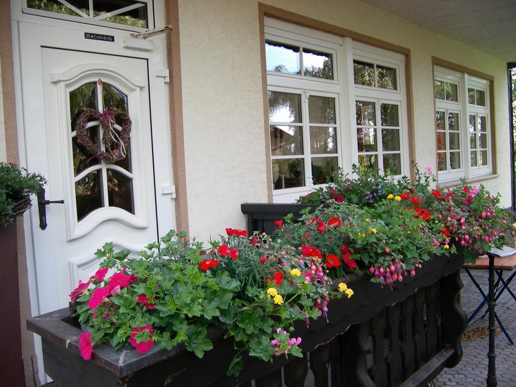 Landhaus Bad Bertrich Zewnętrze zdjęcie