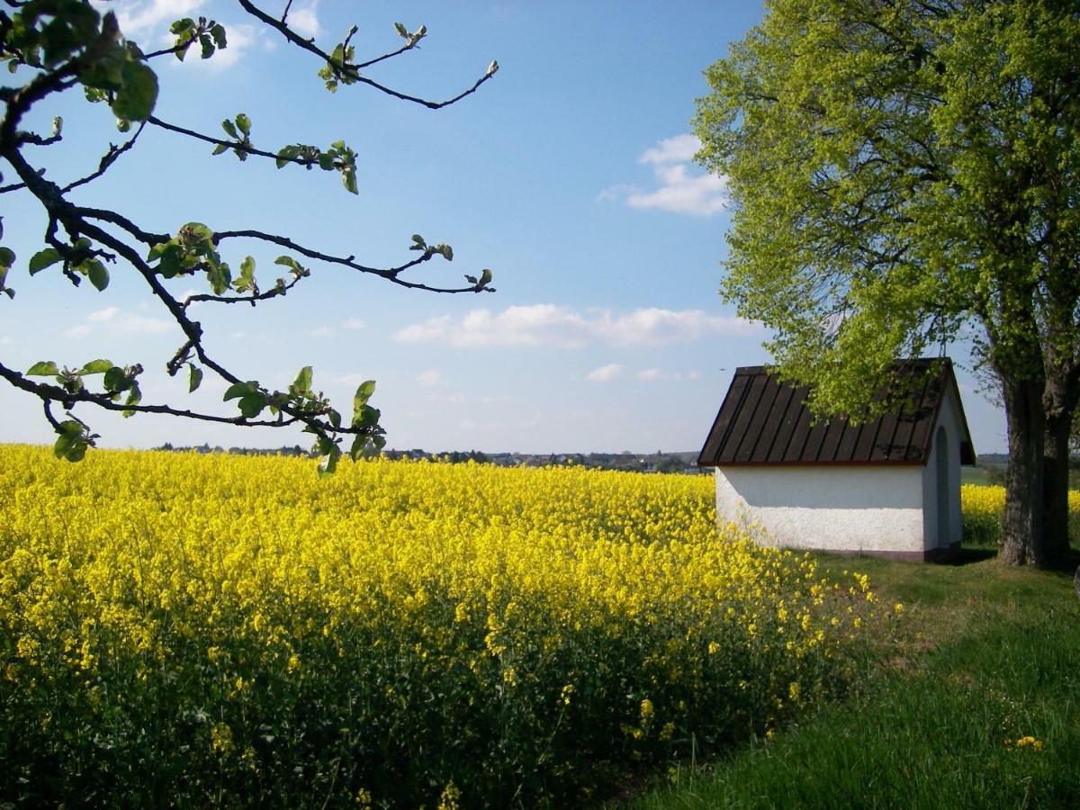 Landhaus Bad Bertrich Zewnętrze zdjęcie