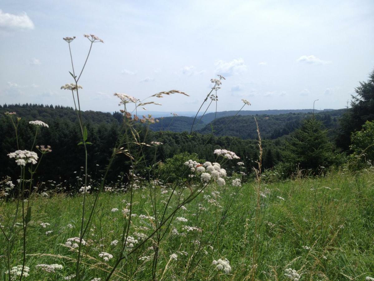 Landhaus Bad Bertrich Zewnętrze zdjęcie