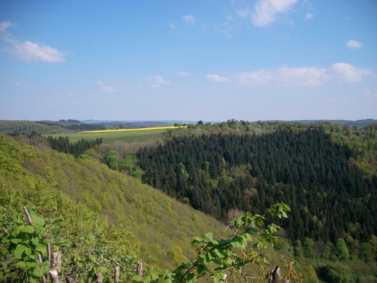 Landhaus Bad Bertrich Zewnętrze zdjęcie